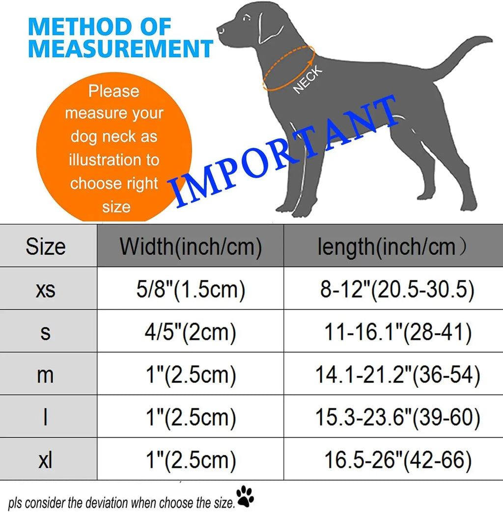 Lionet Paws Blue Summer Dog Collar - Cute Anchor Graphic Pendant, Non-Stretchy, Hand Wash Only for Small-Medium Male Dogs, Collars