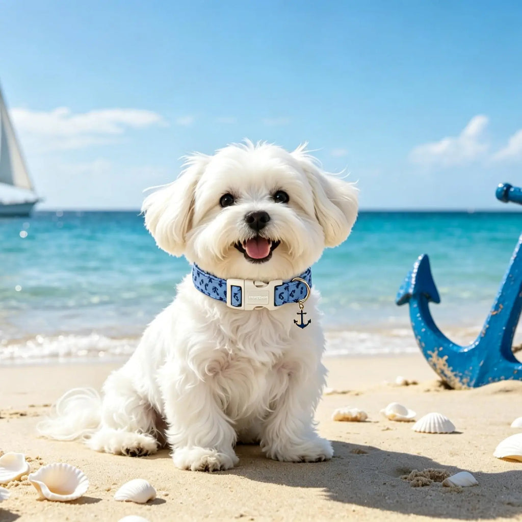 Lionet Paws Blue Summer Dog Collar - Cute Anchor Graphic Pendant, Non-Stretchy, Hand Wash Only for Small-Medium Male Dogs, Collars