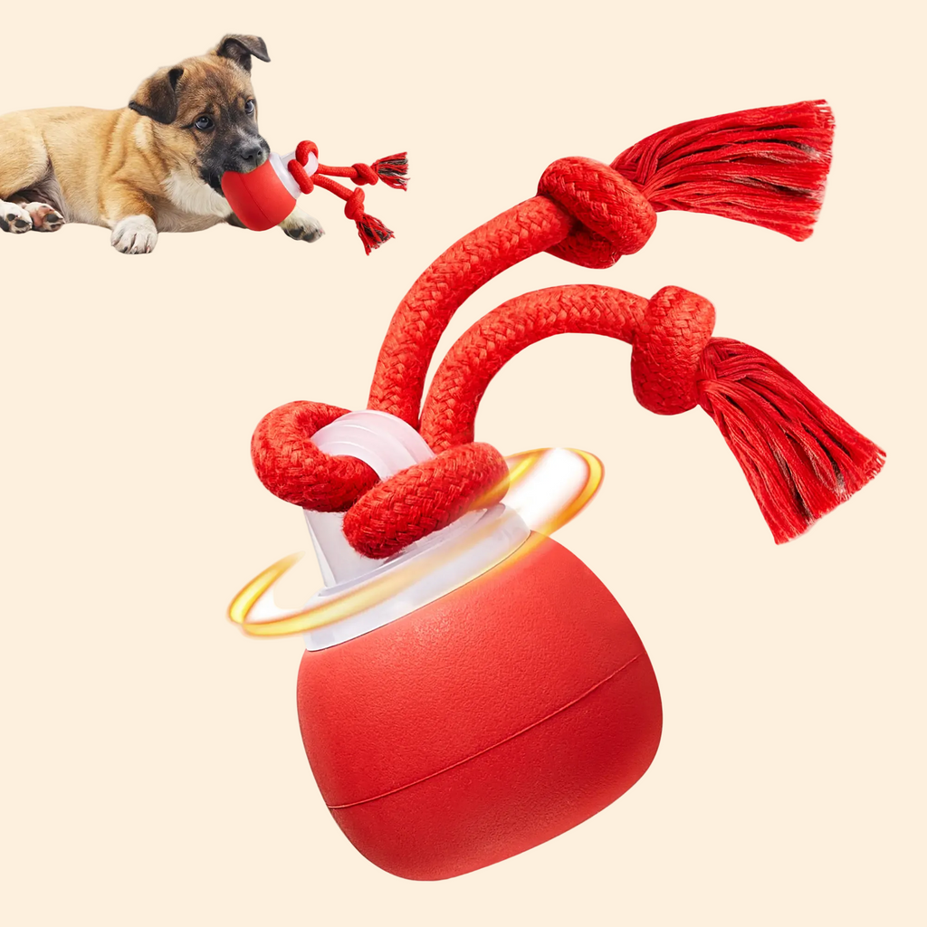 Ball Toy - Touch Activated, Rechargeable, Squeaky Toy - Interactive Moving Ball