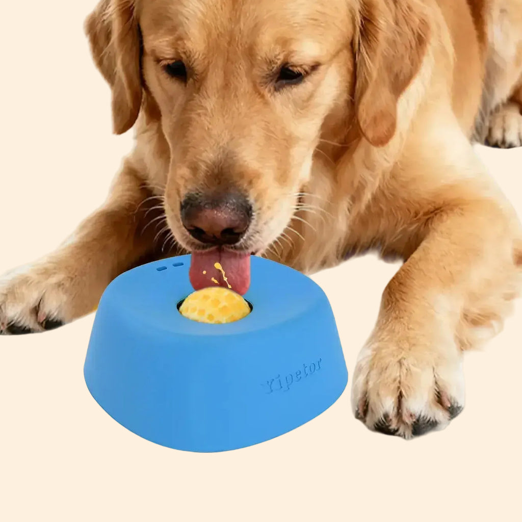 Yipetor Slow Feeder Dog Bowls for Liquid Treat, Free Gift, Buy 2 Get 1 [Built in Rolling Ball] No Spill Bone Broth Dog Licking Bowl, Multi Purpose Puppy Yogurt Feeder Bowl for All Breeds Dietary Supplement/Post Op Nutrition Feeding